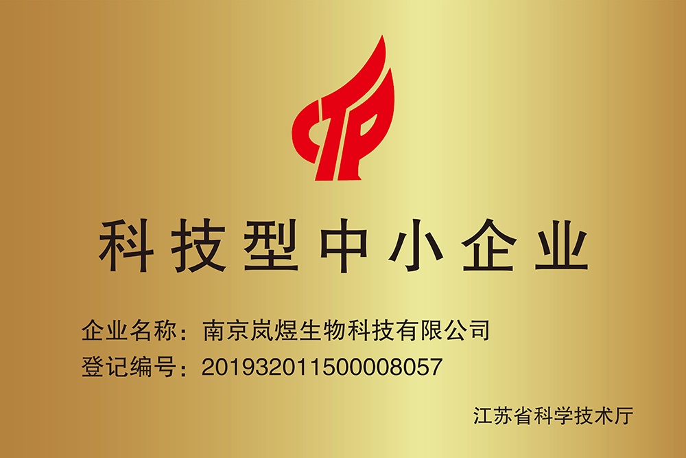 科技型中小企業(yè)銅牌